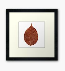 Nature vein Framed Print