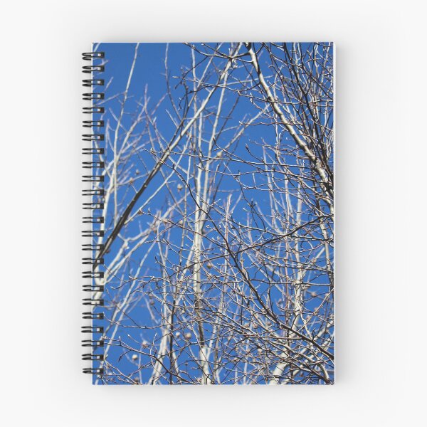 Item preview, Bare Tree Branches  designed and sold by Cynthia48.