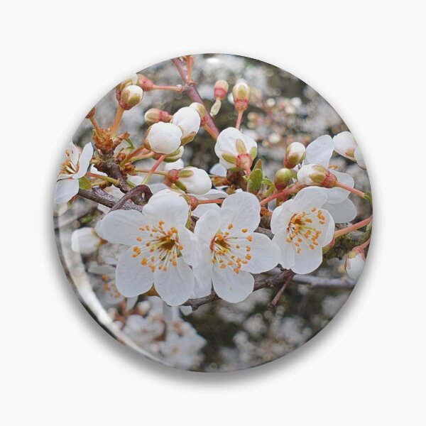 Item preview, Beautiful Cherry Blossom Photograph designed and sold by s10-Photography.