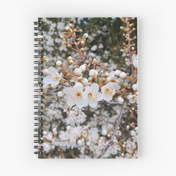 Item preview, Beautiful Cherry Blossom Photograph designed and sold by s10-Photography.