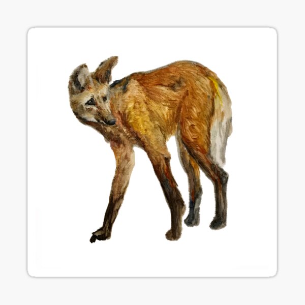 Golden wolf like a fox Sticker