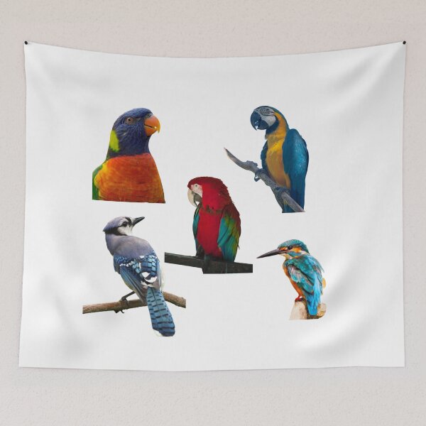 Item preview,   Love-Awesome birds Pack  designed and sold by Openspace2020.
