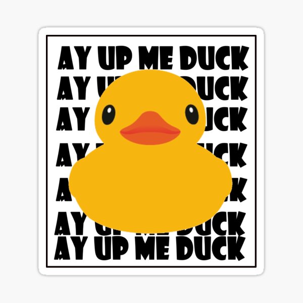 ay up me duck t shirt