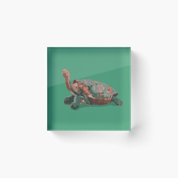Item preview, TORTOISE designed and sold by megatrontom.