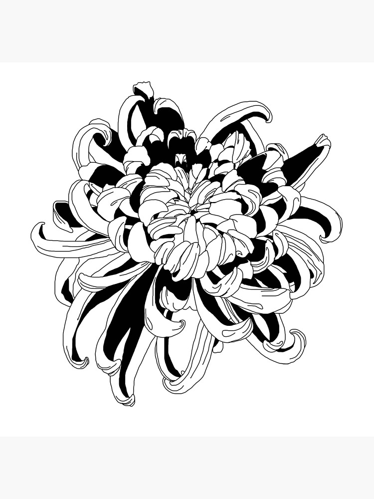 "Japanese chrysanthemum" Poster by CrPanfilova Redbubble