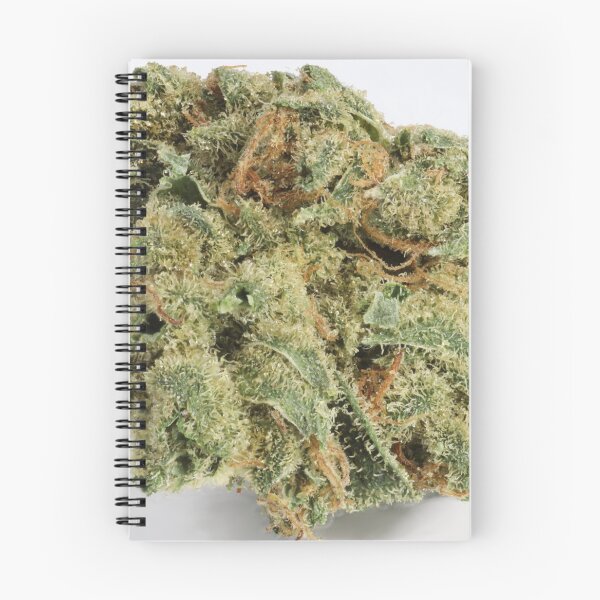 Item preview, Nug designed and sold by Latertia.