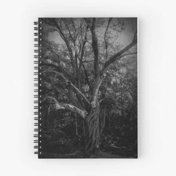 Item preview, Oak–Hickory Forest Tree designed and sold by BritishYank.
