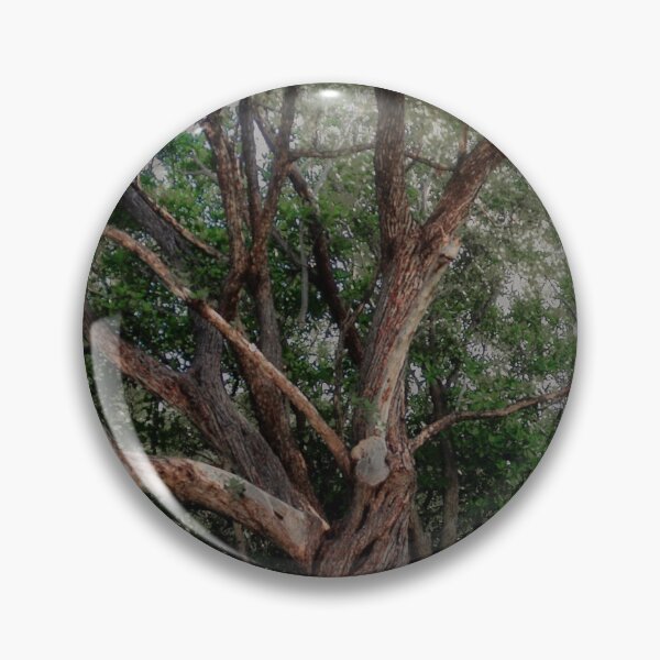 Item preview, Scary Old Oak–Hickory Forest  designed and sold by BritishYank.