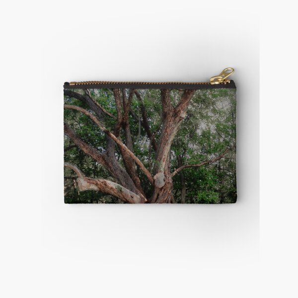 Item preview, Scary Old Oak–Hickory Forest  designed and sold by BritishYank.