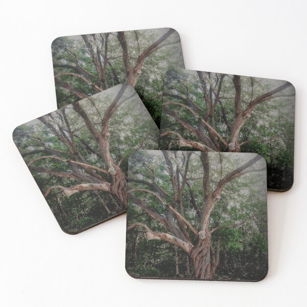 Item preview, Scary Old Oak–Hickory Forest  designed and sold by BritishYank.