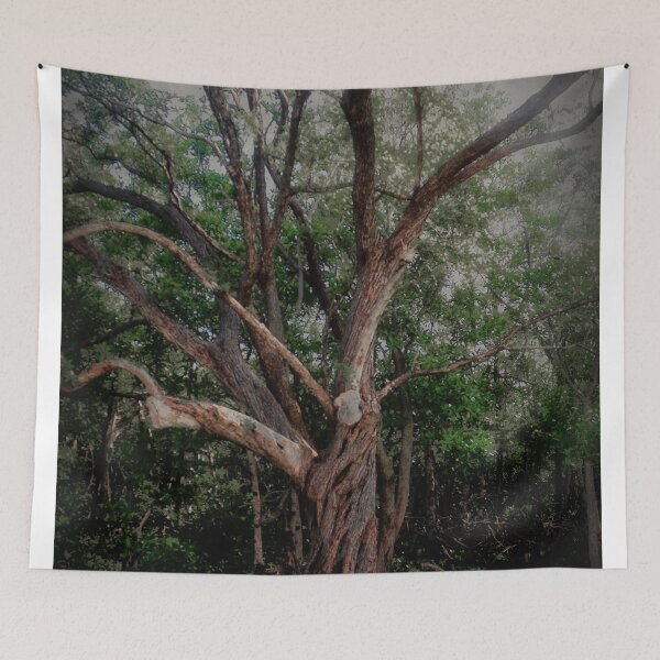 Item preview, Scary Old Oak–Hickory Forest  designed and sold by BritishYank.