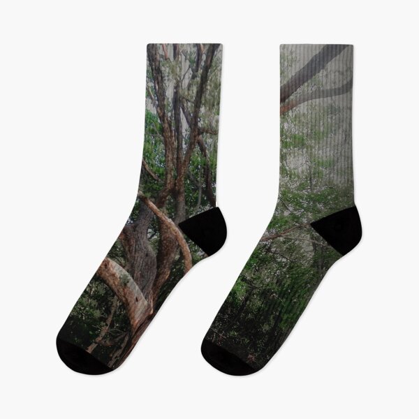 Item preview, Scary Old Oak–Hickory Forest  designed and sold by BritishYank.