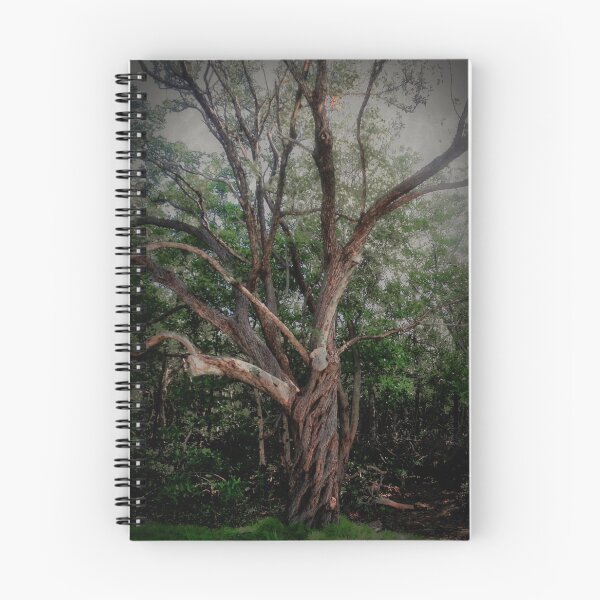 Item preview, Scary Old Oak–Hickory Forest  designed and sold by BritishYank.