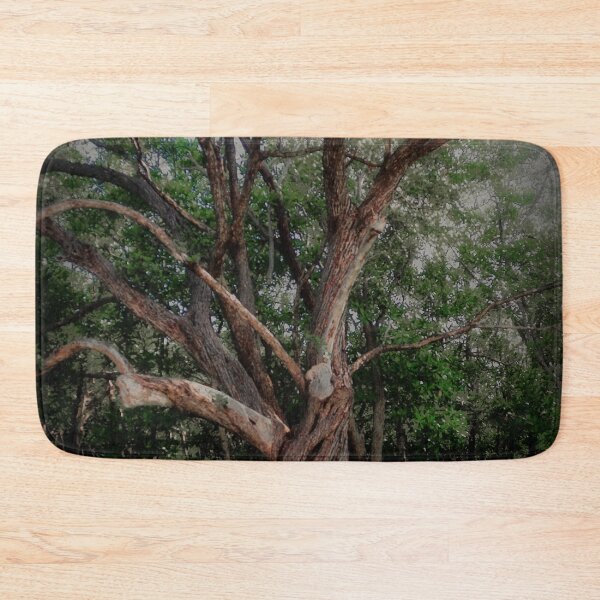 Item preview, Scary Old Oak–Hickory Forest  designed and sold by BritishYank.