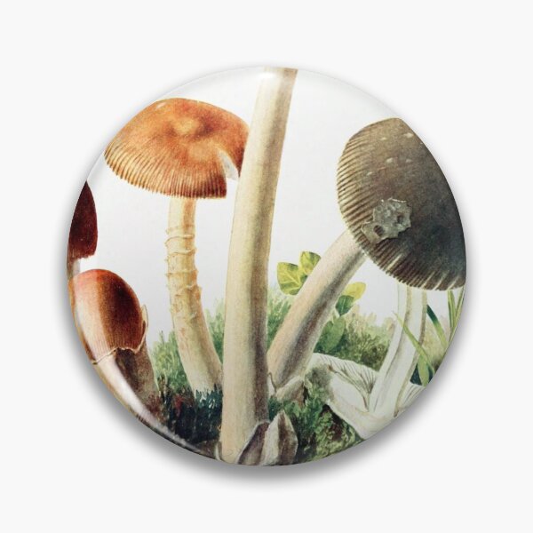 Item preview, Mushrooms designed and sold by redoARTstore.
