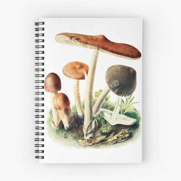 Item preview, Mushrooms designed and sold by redoARTstore.