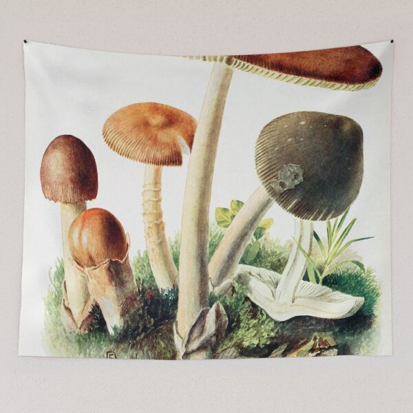 Item preview, Mushrooms designed and sold by redoARTstore.