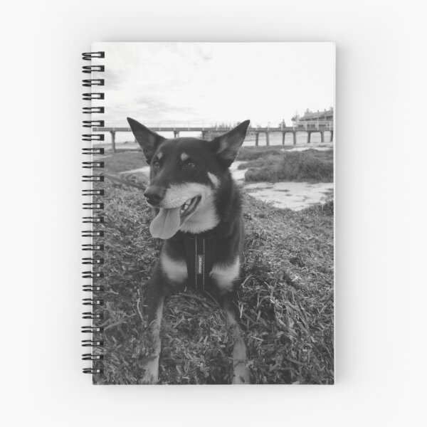 Artikelvorschau, Australian Kelpie at the beach entworfen und verkauft von Brett Conlon.