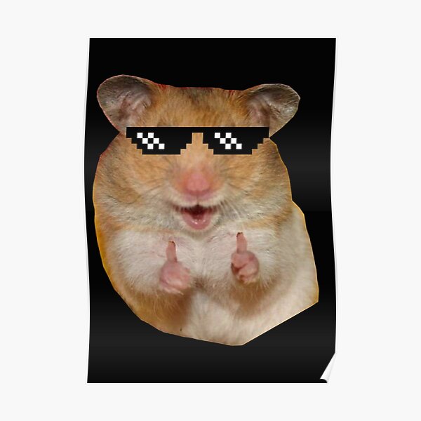 Funny Pfp Hamster / Sleeping Hamster Gifs Tenor