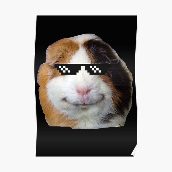 Poster Funny Hamster Redbubble