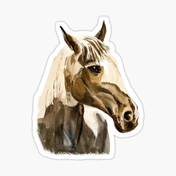 Sticker cheval portrait – Stickers STICKERS ANIMAUX Chevaux - Ambiance- sticker