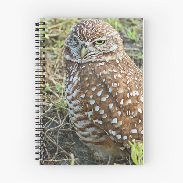 Item preview, The Competitor designed and sold by Michiale.