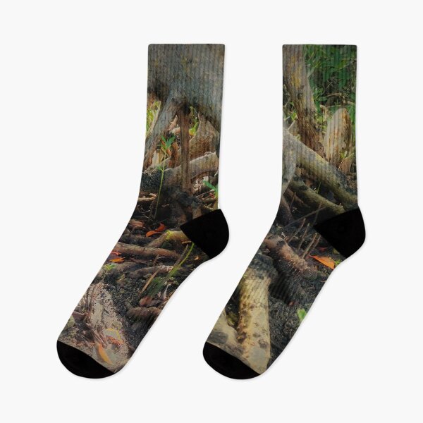 Item preview, Can You See the Spooky Face in this Forest  designed and sold by BritishYank.
