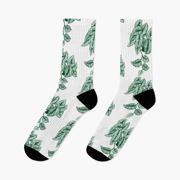 Item preview, Scindapsus Pictus designed and sold by Whorticultured.