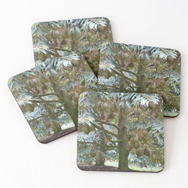 Item preview, Awesome durian tree. designed and sold by Lan thi Nguyen.