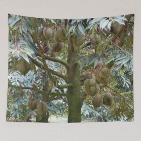 Item preview, Awesome durian tree. designed and sold by Lan thi Nguyen.