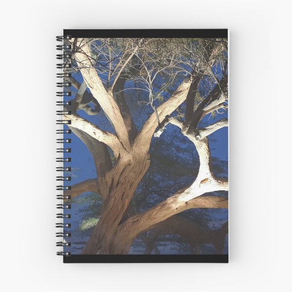 Item preview, Tree branches of life at night with light designed and sold by Williams Anderson.