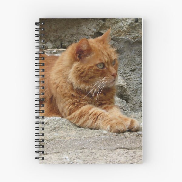 Item preview, Corsican Cat designed and sold by Trish Meyer.