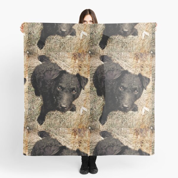 Item preview, Fergus, Wire-Haired Patterdale Terrier designed and sold by Jay Taylor.