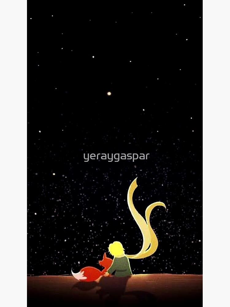 Discover The little Prince Premium Matte Vertical Poster