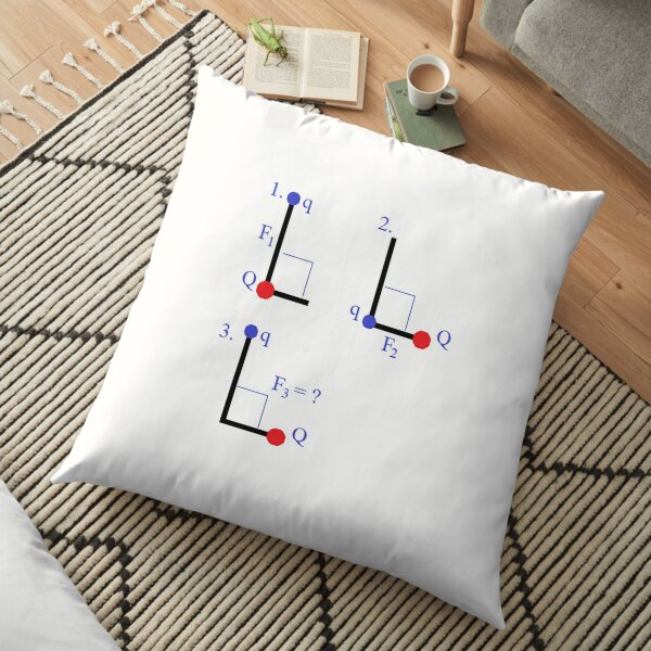 Physics Problem Floor Pillow