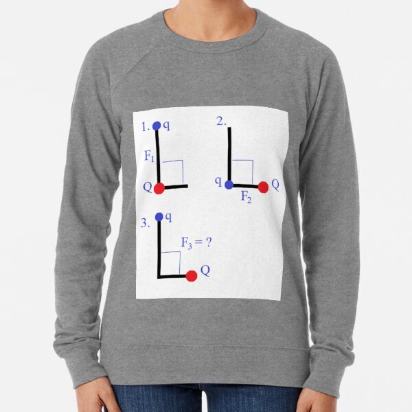 Physics Problem Lightweight Sweatshirt