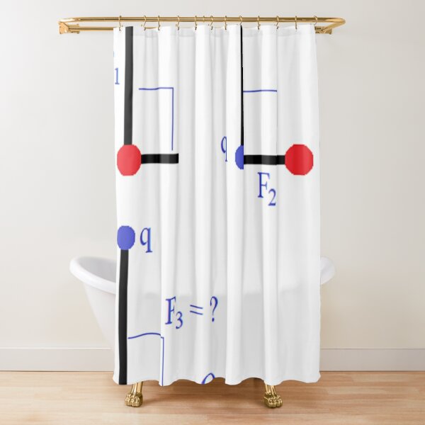 Physics Problem Shower Curtain