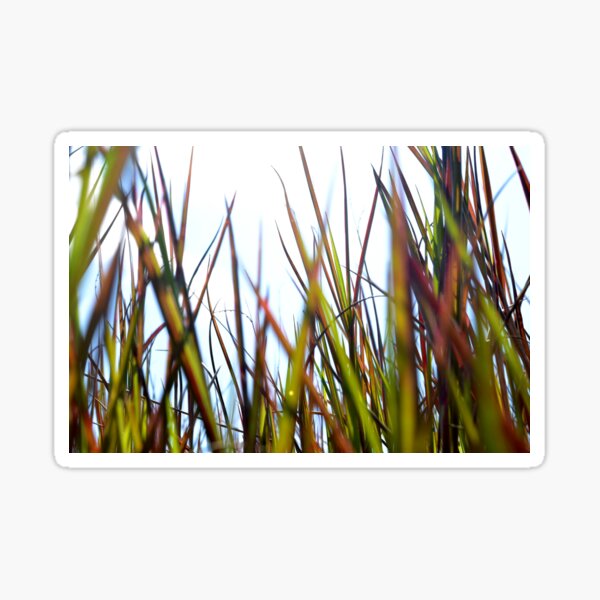 Grass roots Sticker