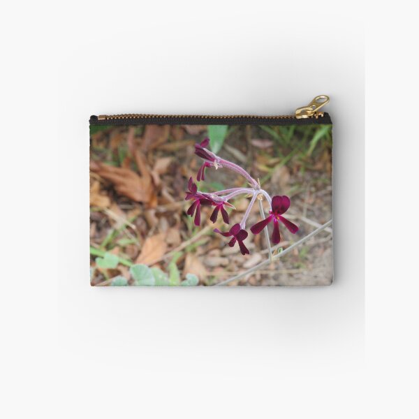 Item preview, Pelargonium sidoides designed and sold by greentiger1.