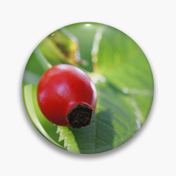Artikelvorschau, Wild Rose entworfen und verkauft von flashcompact.