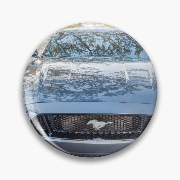 Item preview, 2019 Gray Ford Mustang GT 5.0 X150  designed and sold by RichFrancoCars.