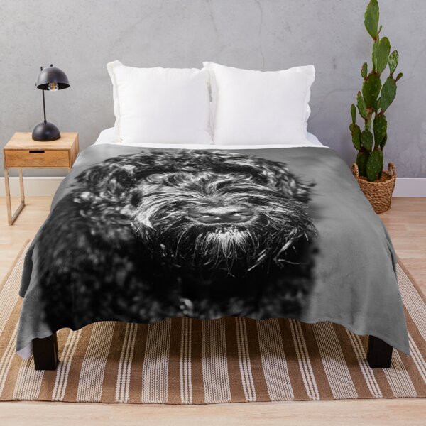 Item preview, black golden doodle photography designed and sold by Florence O’Brien.