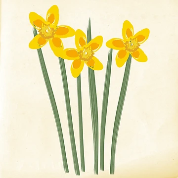 Artwork thumbnail, Daffodils Spring Pattern by technotext