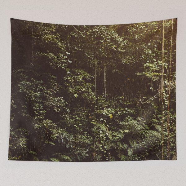 Item preview, Yunque Rainforest designed and sold by BoricuaLatina30.