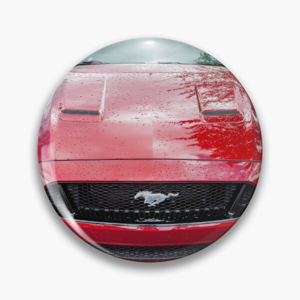Artikelvorschau, 2019 Roter Ford Mustang GT 5.0 X135 entworfen und verkauft von RichFrancoCars.