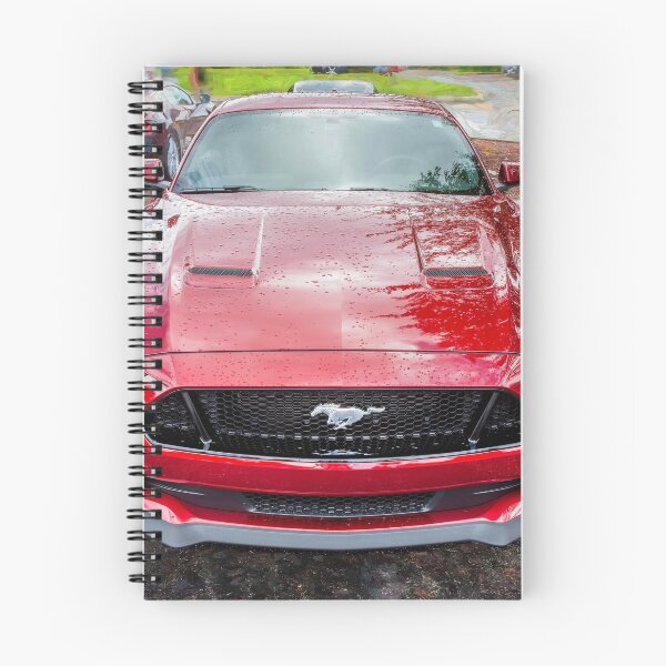 Item preview, 2019 Red Ford Mustang GT 5.0 X135 designed and sold by RichFrancoCars.