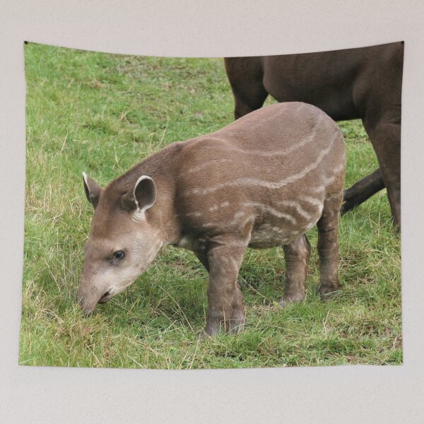 Item preview, Baby Tapir designed and sold by Fearless-Fox.