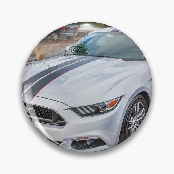 Item preview, 2017 Ford Mustang GT 5.0 X222 designed and sold by RichFrancoCars.