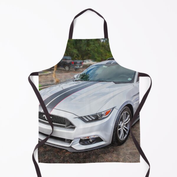 Item preview, 2017 Ford Mustang GT 5.0 X222 designed and sold by RichFrancoCars.