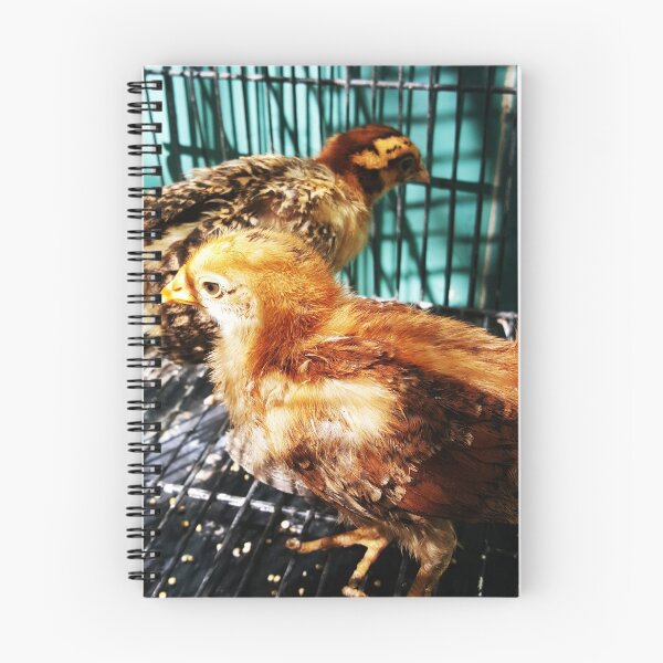 Item preview, Beautiful chicken photo designed and sold by FurwaAbid.